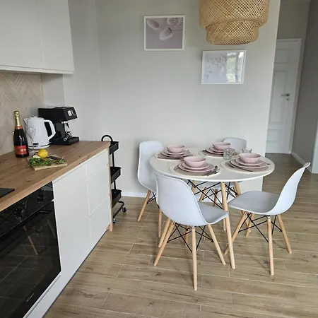 Apartament Sosnowkowy Zakatek Sosnówka Zewnętrze zdjęcie